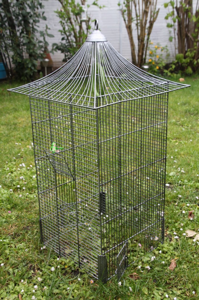 cage à oiseaux vintage Rouge Garden